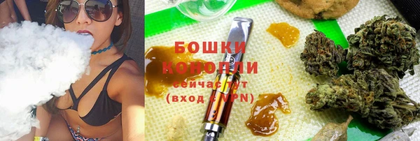 прущие грибы Сафоново