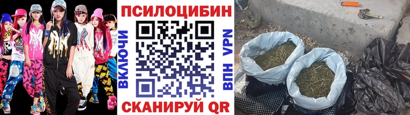 что такое наркотик  Опочка  Псилоцибиновые грибы Magic Shrooms 